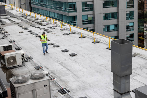Best Skylight Installation and Repair  in Shoshone, ID